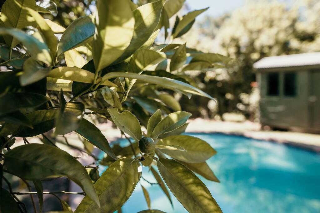 Classic Greyton Cottage For Two מראה חיצוני תמונה
